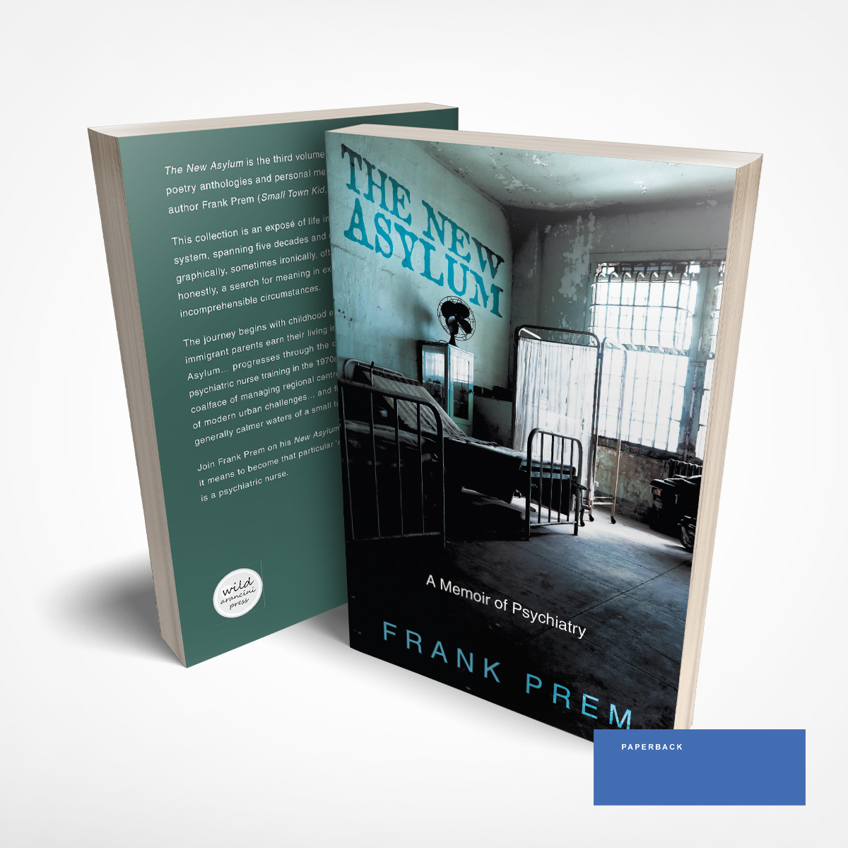 The New Asylum by Frank Prem
