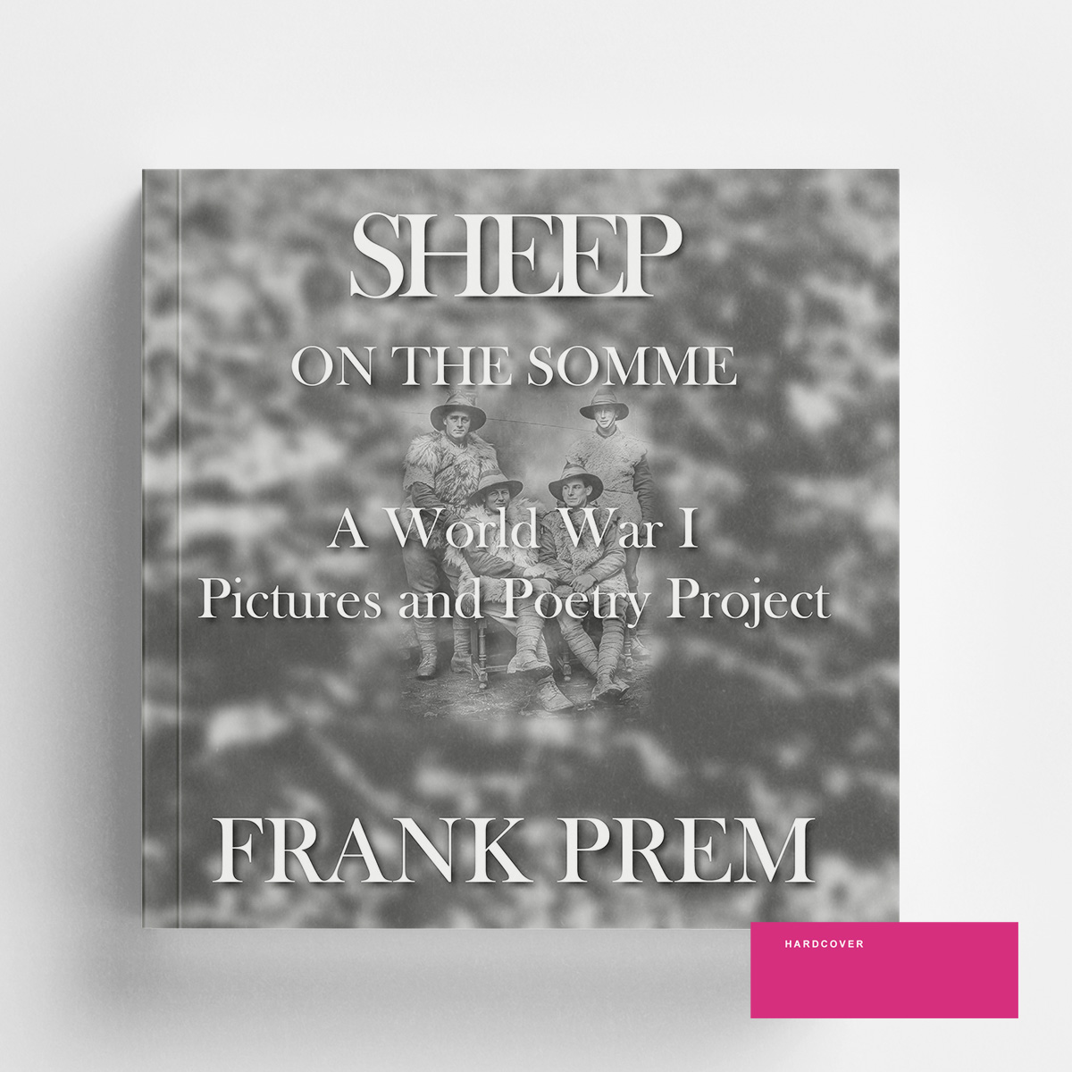 Sheep on the Somme by Frank Prem