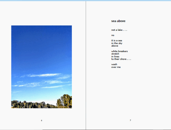 LSW_1